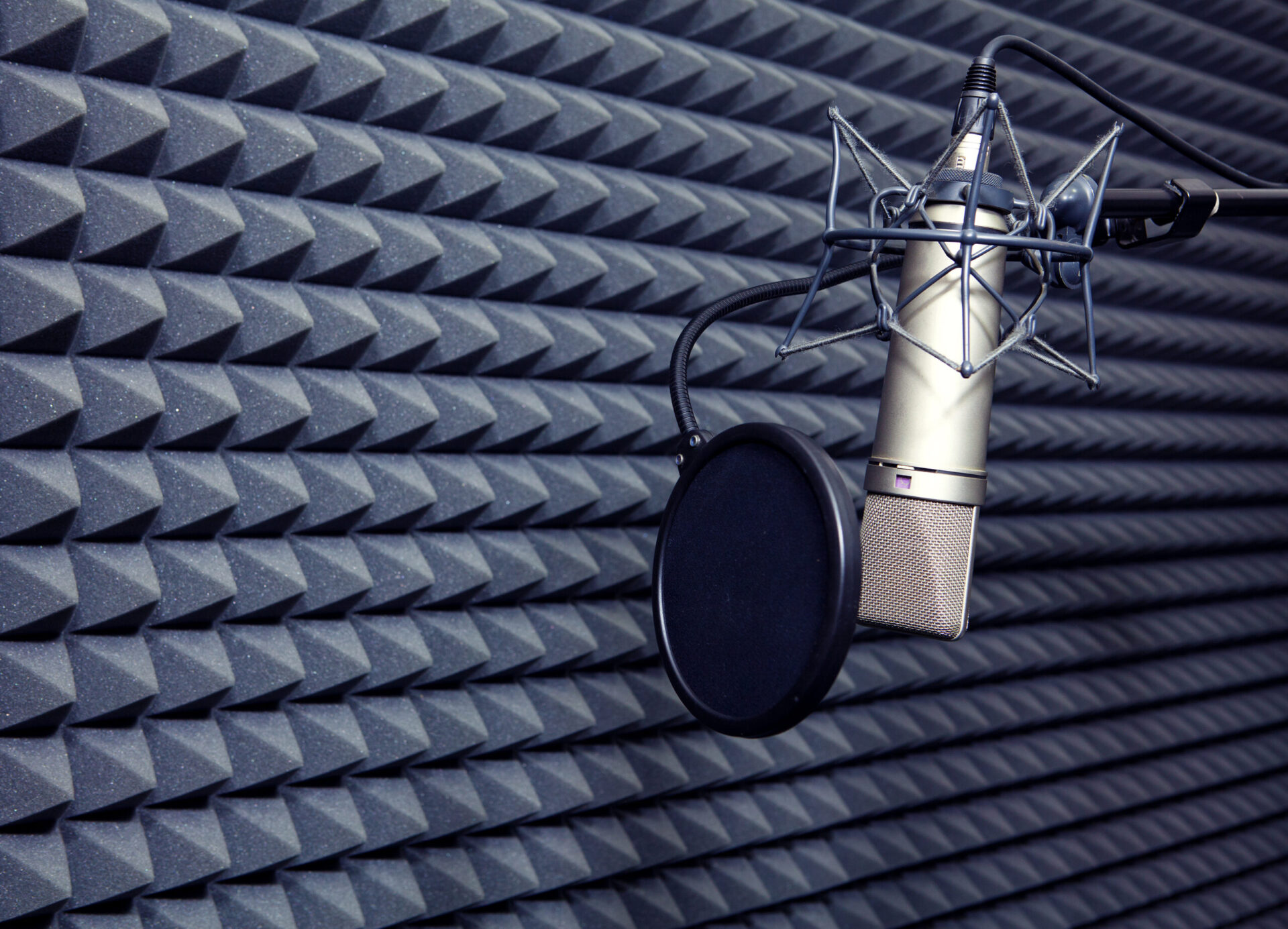 A sound-capturing device is positioned in front of an acoustic wall for Experience Days.